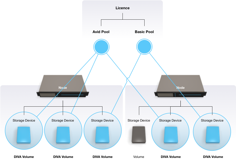 Licenses & Volumes